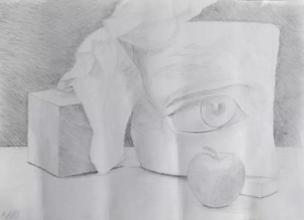Eye_David_naturemort_pencil_graphic