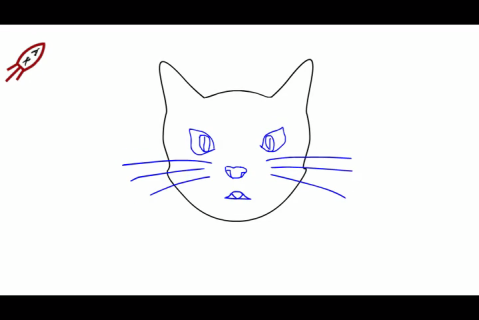 Анимация Эмоция кошки